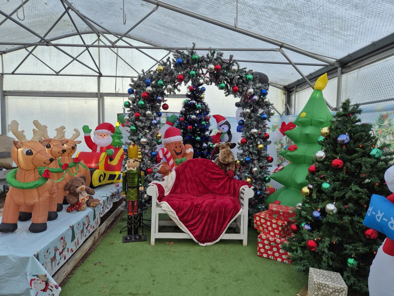 The magical Christmas grotto at Orchard Nurseries, with Santa's chair, reindeer and decorated trees